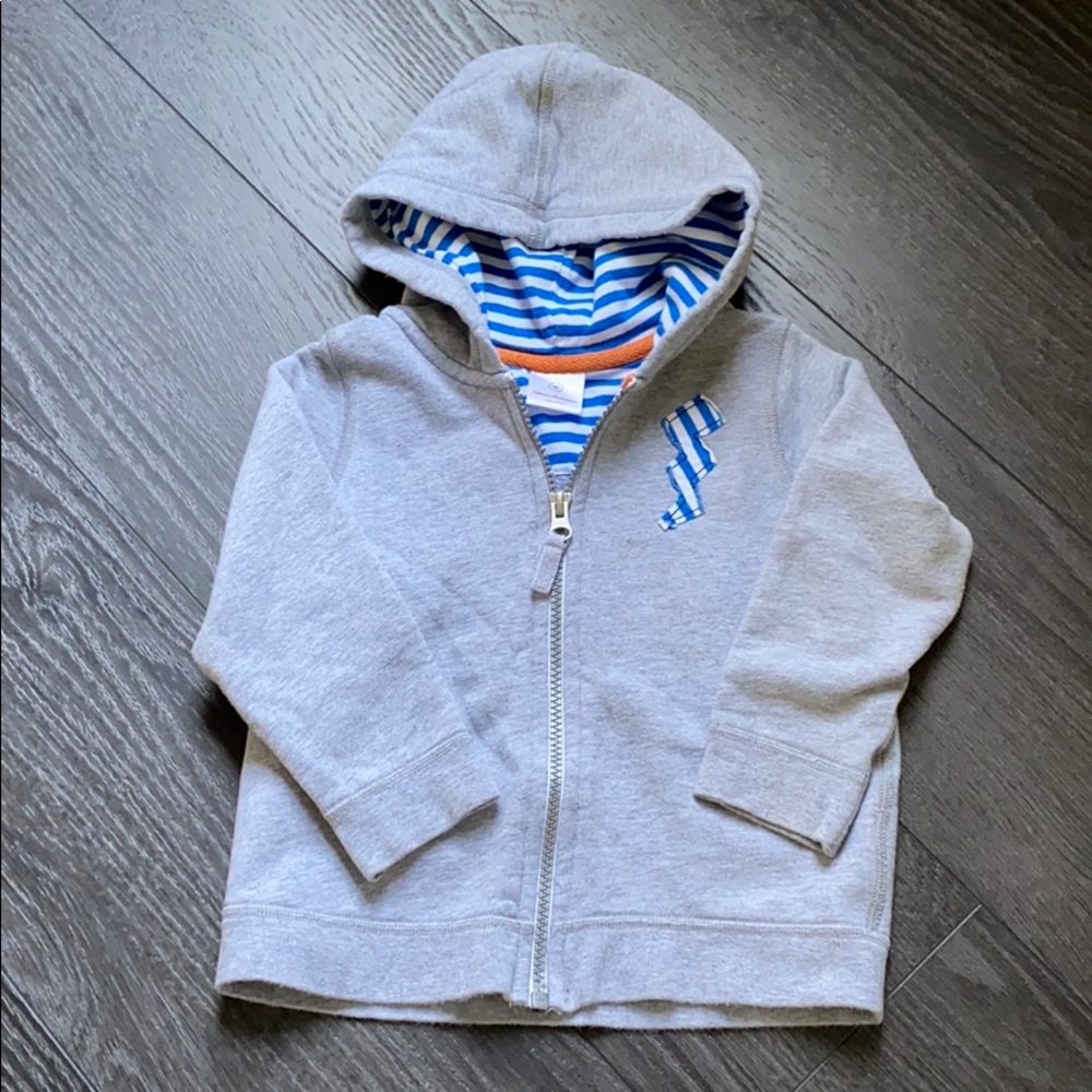 Hanna Andersson Boys Zipper Hoodie
